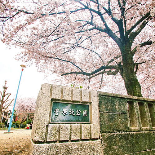 菅原北公園