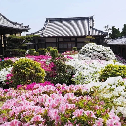 法雲寺【法雲禅寺】