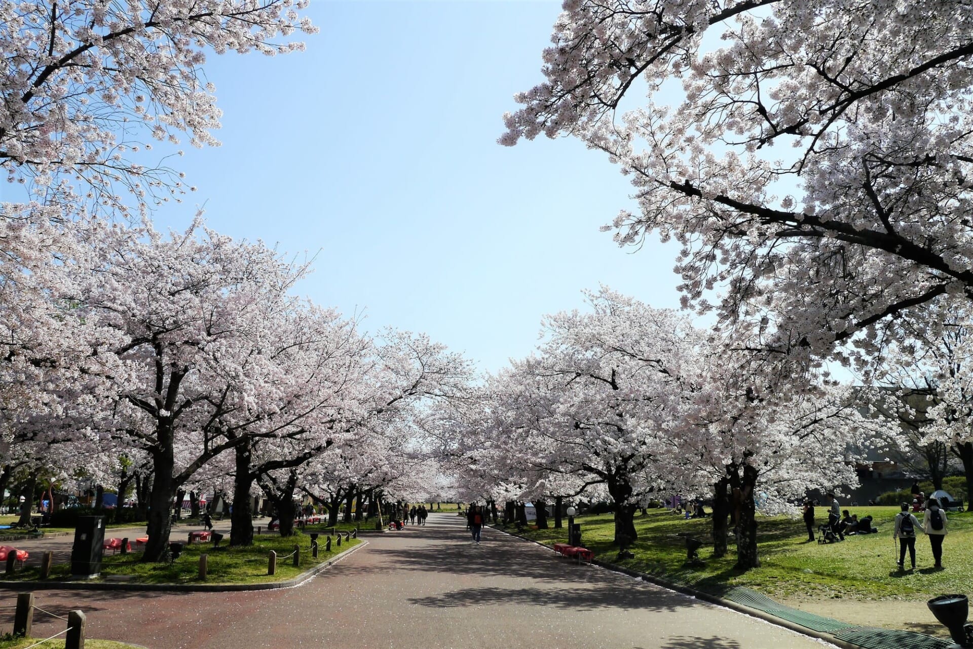 万博記念公園